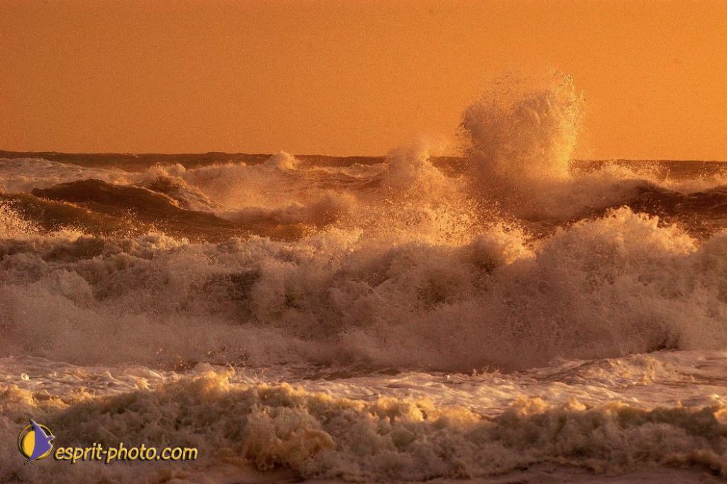 Nom de l'image : EP08-0376_(c)Norbert-JUNG — Description :